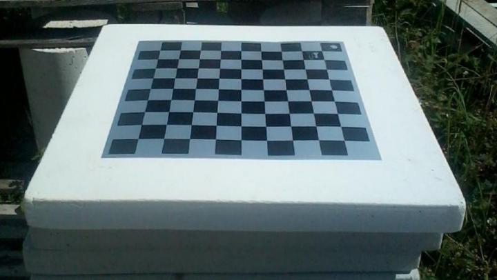 Jeu échecs/dames Gris alu/Noir